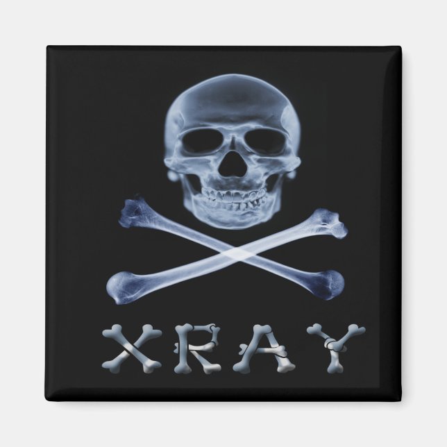 FUNOLOGIE-PIRATENFLAGGE des XRAY PIRATE-Flag Magnet (Vorne)