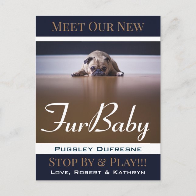 Fur Baby "New Pet" Ankündigung Postkarte (Vorderseite)