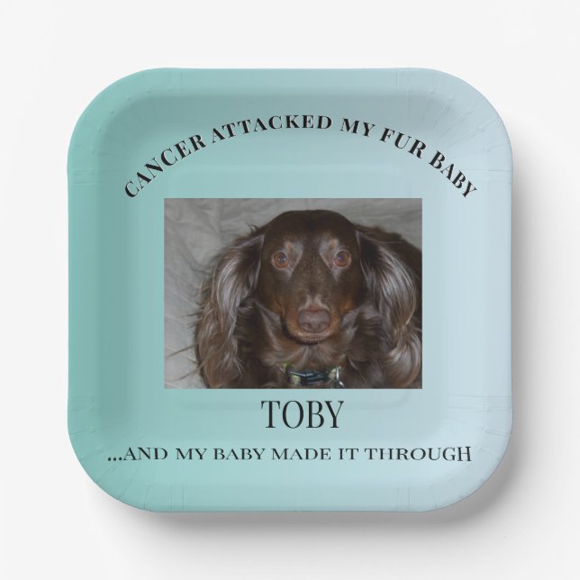 Fur Baby Survivor Celebration Art Pappteller (Vorderseite)