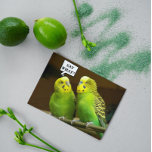 Für Brother Green Parakeets Foto Geburtstag Karte<br><div class="desc">Eine lustige und farbenfrohe Geburtstagskarte für seinen Bruder,  die das Foto eines hellen,  grünen Parakets zeigt,  auch Budgies nennen. Wählen Sie aus einer matten oder glänzenden Stilkarte.</div>