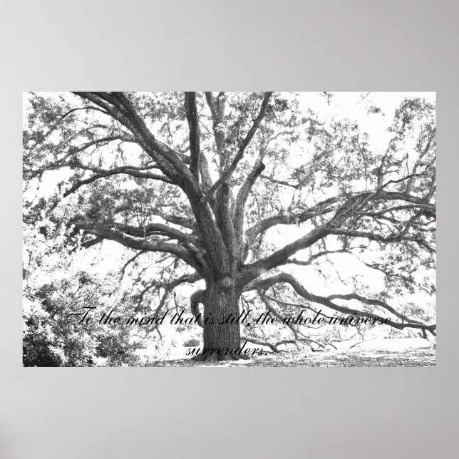 Für den Geist ist das immer noch. Poster (Vorne)