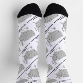 Für den Sieg des Präsidenten im Jahr 2024 sind 270 Socken