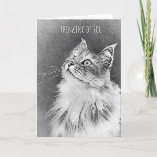 Für den Verlust einer Haustier-Katze (Karte) Karte (Vorderseite)