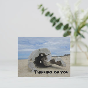 Für Dich Pazifischer Ozean Strand Treibholz Postkarte