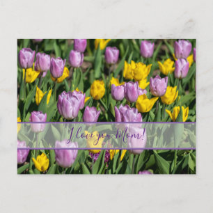 Für die beste Mami der Welt! Postkarte