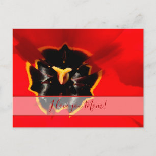 Für die beste Mami der Welt! Postkarte