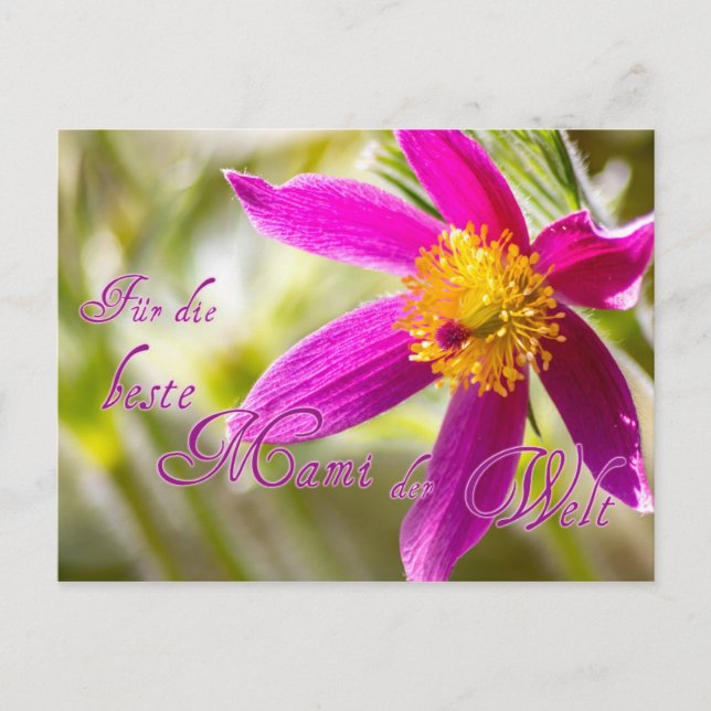 Für die beste Mami der Welt! Postkarte (Vorderseite)