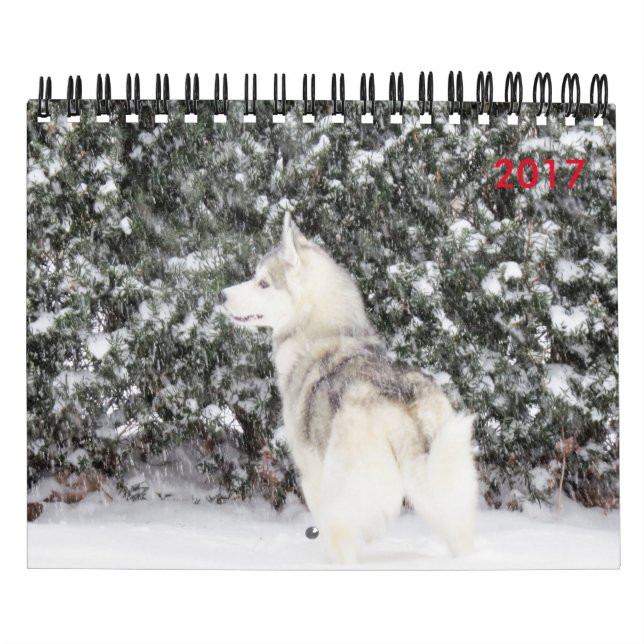 Für die Liebe der Hunde Kalender (Titelbild)