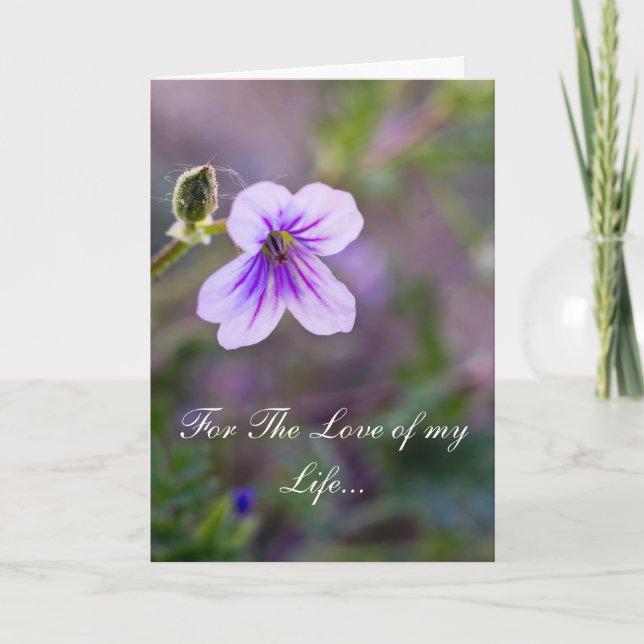 Für die Liebe meines Lebens Feiertagskarte (Vorderseite)