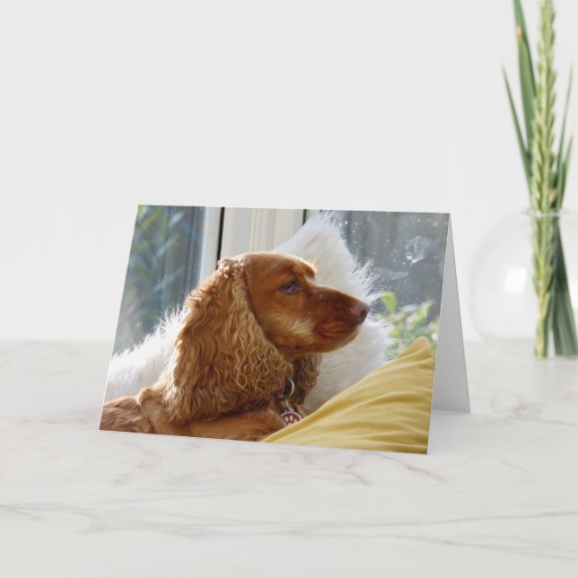 Für die Liebe von Hunden Karte (Vorderseite)
