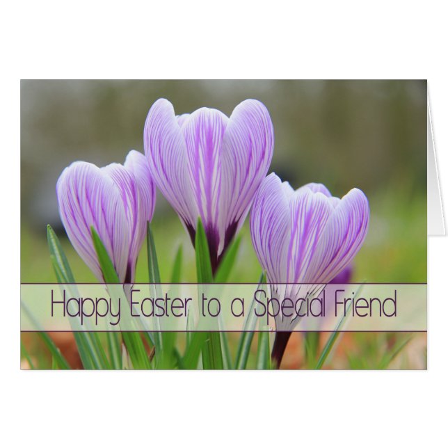 Für einen besonderen Freund Happy Oaster Lila Croc (Vorderseite (Horizontal))