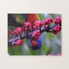 Für einen kleinen Imbiss einspringen - Rainbow Lor