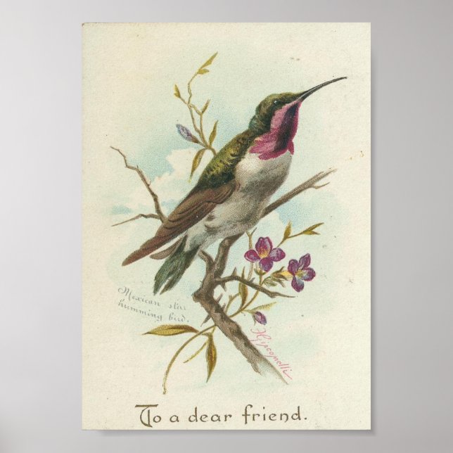 Für einen lieben Freund, Vintagen Hummingbird Poster (Vorne)