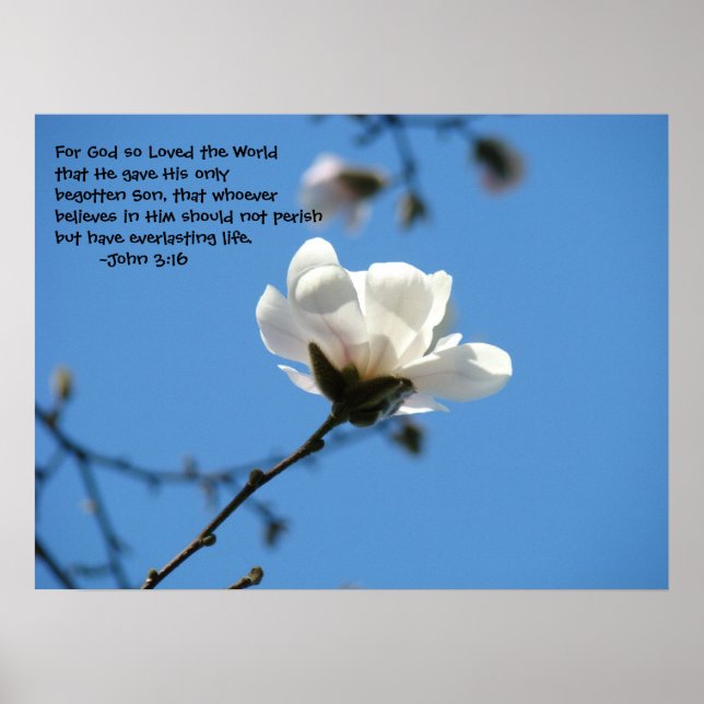 Für Gott So liebte die Welt John 3:16 Kunstdrucke Poster (Vorne)