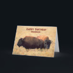 Für Grandson Birthday mit einem Paar Bison Karte<br><div class="desc">Geburtstagsgrüße für einen Enkel mit einem Bison auf der Prärie mit großen Gräsern. Art,  Bild und Vers Copyright © Shoaff Ballanger Studios,  2023.</div>