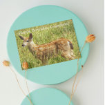 Für Grandson Deer Fawn Wildlife zum Geburtstag Karte<br><div class="desc">Weisheitsworte begleiten diese naturthematische Geburtstagskarte eines jungen Enkels und zeigen das Foto von niedlichem,  kleinen Hirschtier. Wählen Sie den finalen Stil Ihrer Karte aus.</div>