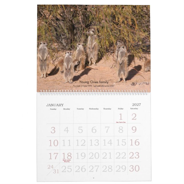 Für immer Freunde - Meerkat Kalender (Jan 2027)