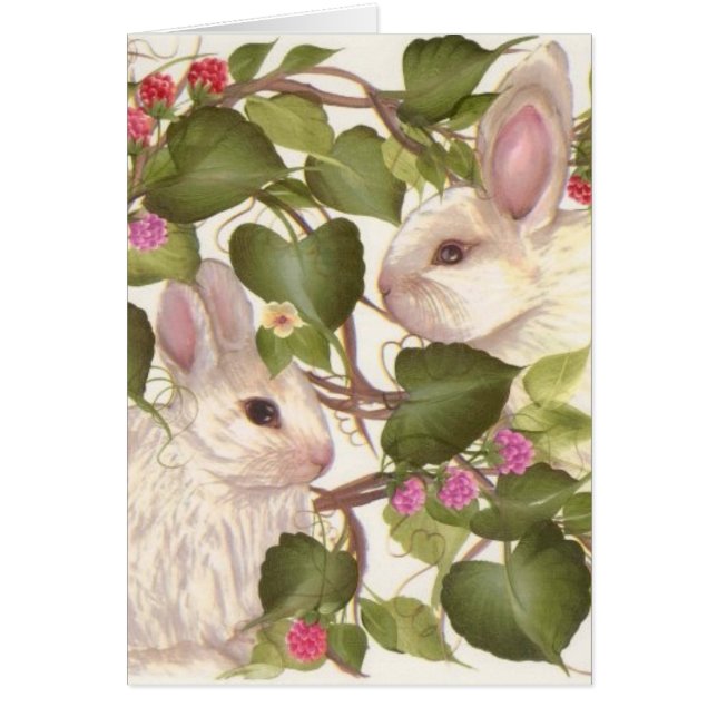 Für immer Häschen (Vorne)