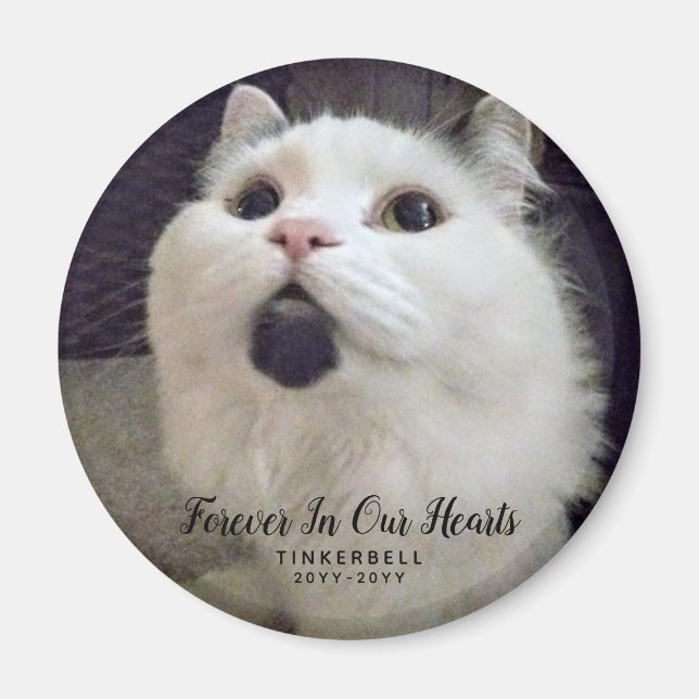 Für immer in unserem Cat Memorial Foto Custom Magnet (Vorne)