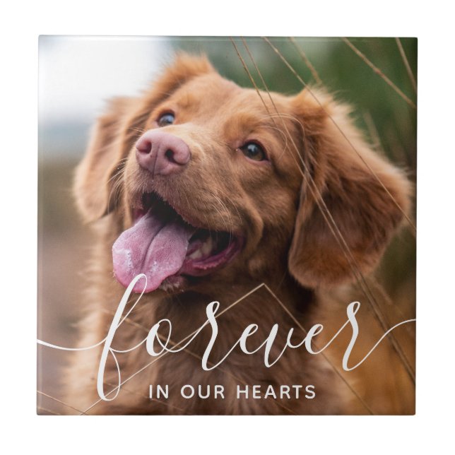 Für immer in unserem Hearts Pet Memorial Foto Fliese (Vorderseite)