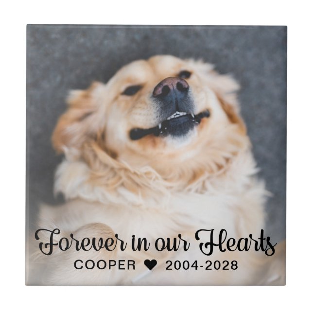 Für immer in unserem Hearts Pet Memorial Foto Plaq Fliese (Vorderseite)