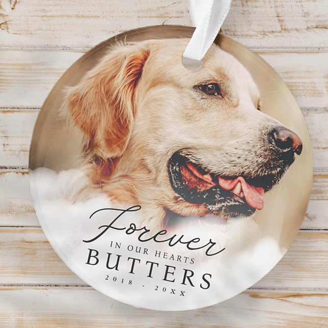 Für immer in unserem Hearts Pet Memorial Modernes  Ornament (Von Creator hochgeladen)