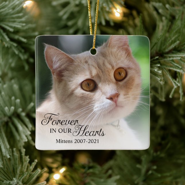 Für immer in unserem Herz Cat Foto Keramikornament (Baum)