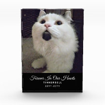 Für immer in unserem Herz Cat Memorial Pet Foto Na