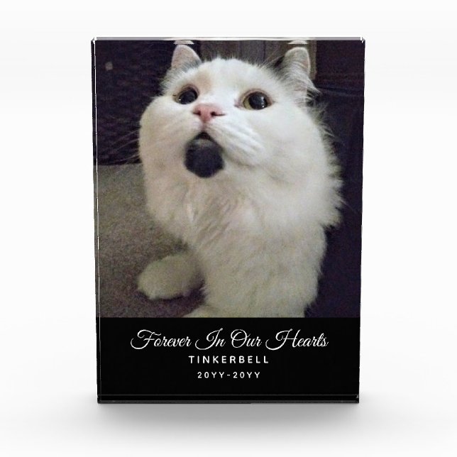 Für immer in unserem Herz Cat Memorial Pet Foto Na (Vorderseite)