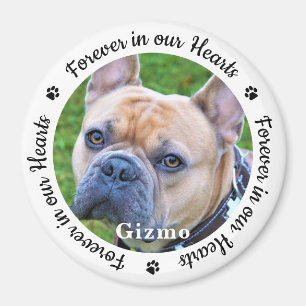 Für immer in unserem Herzen Foto Haustier Hunde-Ge Magnet