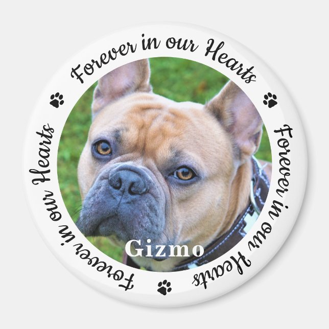 Für immer in unserem Herzen Foto Haustier Hunde-Ge Magnet (Vorne)