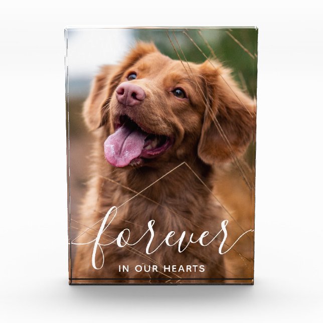 Für immer in unserem Hund für Herz-Haustiere Fotoblock (Vorderseite)