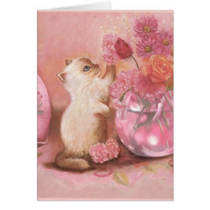 Für immer Kätzchen