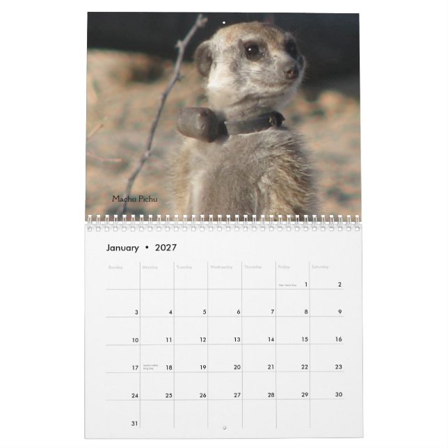 Für immer Legenden - Kalender (Jan 2027)