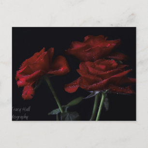 Für immer postkarte