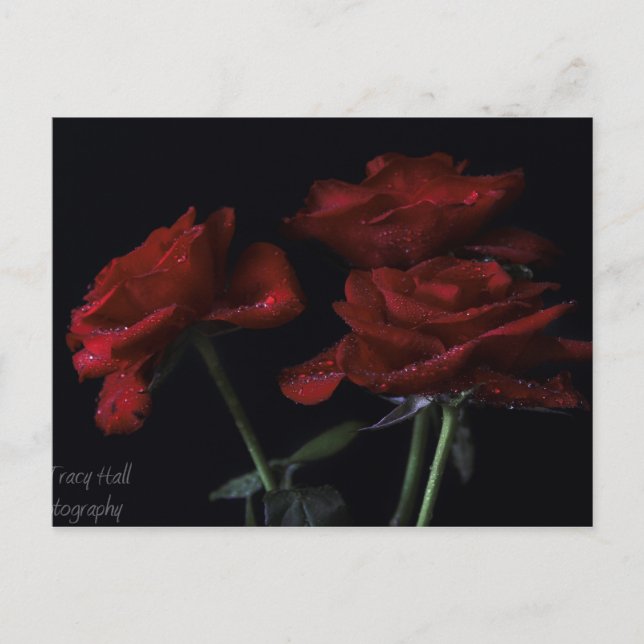 Für immer postkarte (Vorderseite)