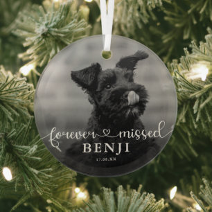 Für immer vermisste Foto-Haustier-Hund-Gedenkbild Ornament Aus Glas