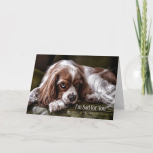 Für Kinder Sympathie Trauriger Cocker Spaniel Karte
