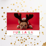 Fur La Christmas Funny Funny Pet Hund Lover Foto Feiertagskarte<br><div class="desc">Fur La La Christmas Funny Funny Pet Hund Lover Foto Weihnachtskarte. Mit dieser minimalistischen und modernen Weihnachtskarte senden Sie Ihren Lieben herzliche Wünsche und Grüße. Alle Texte sind so vorbereitet,  dass Sie sie einfach und schnell mit Ihren eigenen Details personalisieren können. Gute Ferien!</div>