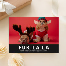 Fur La La Black Modern Pet Weihnachten Foto