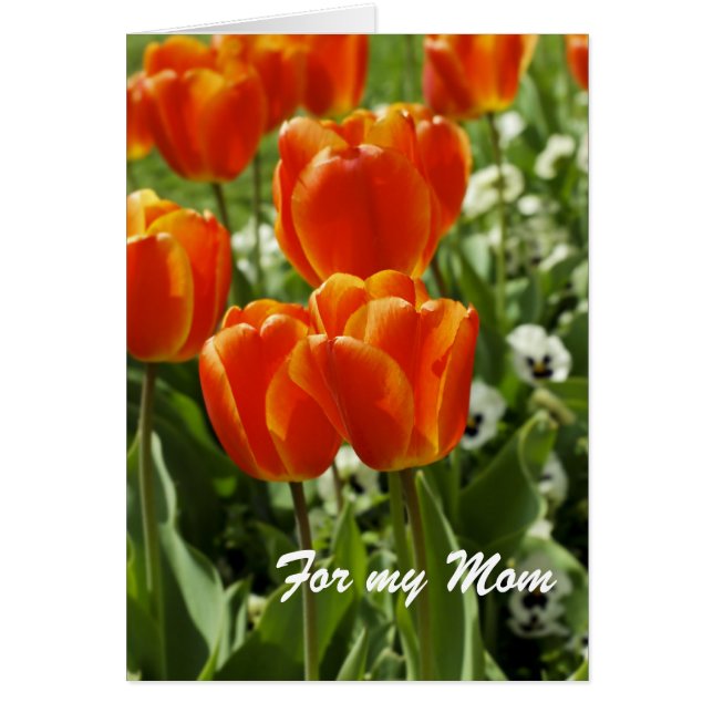 Für meine Mama-Karte (Vorne)