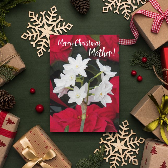 Für Mutter Poinsettias und Paperwhites Weihnachten Karte (In Situ Holiday)