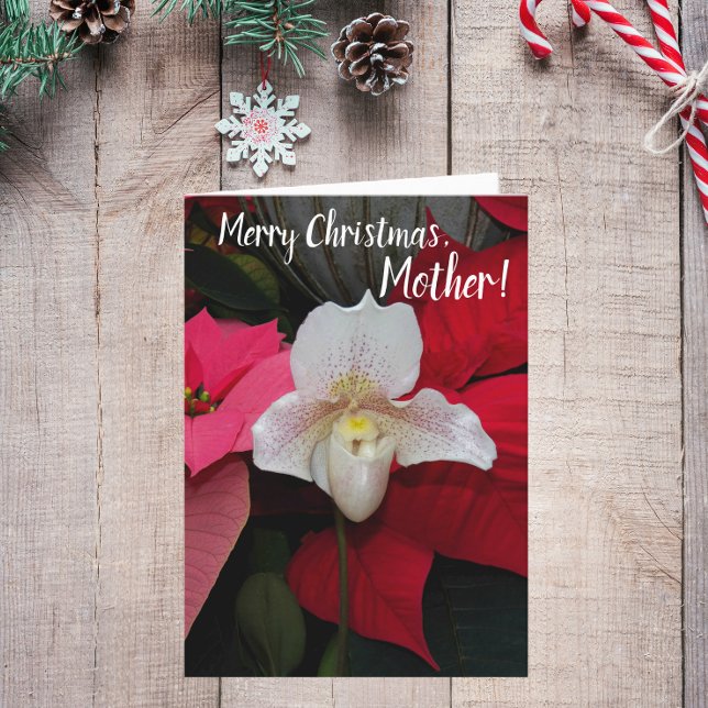 Für Mutter Red Poinsettias und Orchid Weihnachten Karte (In Situ)