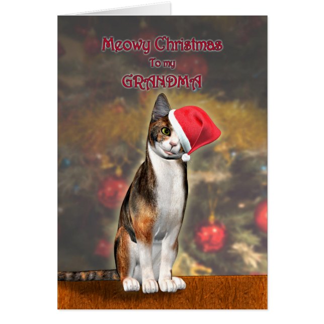 Für Oma eine lustige Katze in einem Weihnachtshut (Vorne)