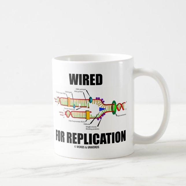 Für Replikation (DNA-Replikation) verkabelt Kaffeetasse (Rechts)