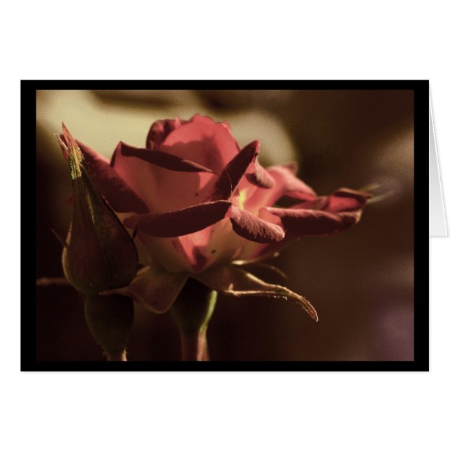 Für Sie (Vorderseite (Horizontal))