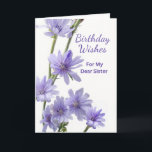 Für Sister Birthday Violet Chicory Blume Karte<br><div class="desc">Herzlichen Glückwunsch zum Geburtstag,  eine Papiergrusskarte für eine Schwester. Auf der Karte befindet sich ein Blumenfoto mit Zichorien-Blume in Violetttönen. Gedicht drinnen. Personalisieren Sie das Innenleben nach Wunsch. Art,  Bild und Vers Copyright © Shoaff Ballanger Studios,  2023.</div>