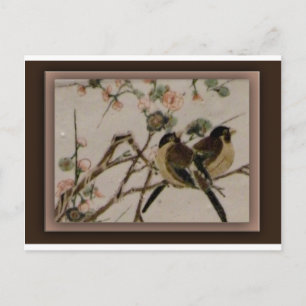 Für Vögel Postkarte