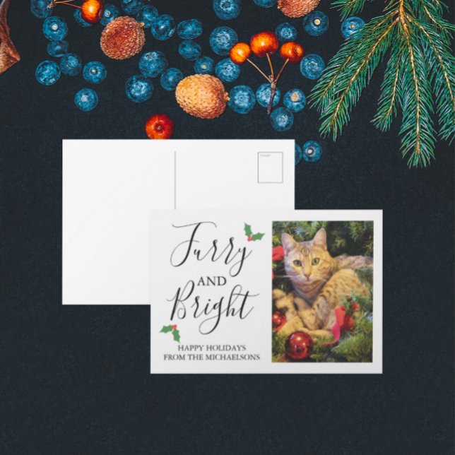 Furcht und Helle Haustiere Foto Weihnachten (Von Creator hochgeladen)