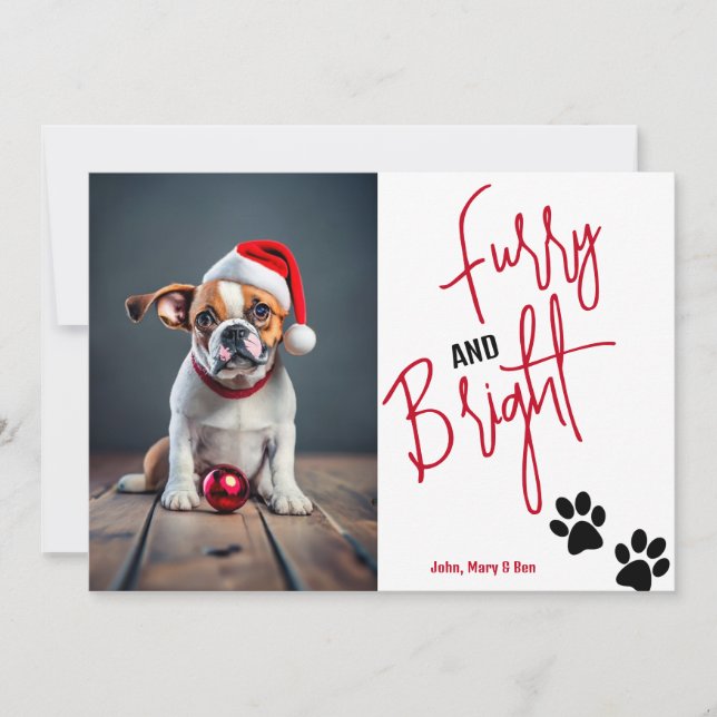 Furcht und Helle Haustiere Foto Weihnachten Rot (Vorderseite)